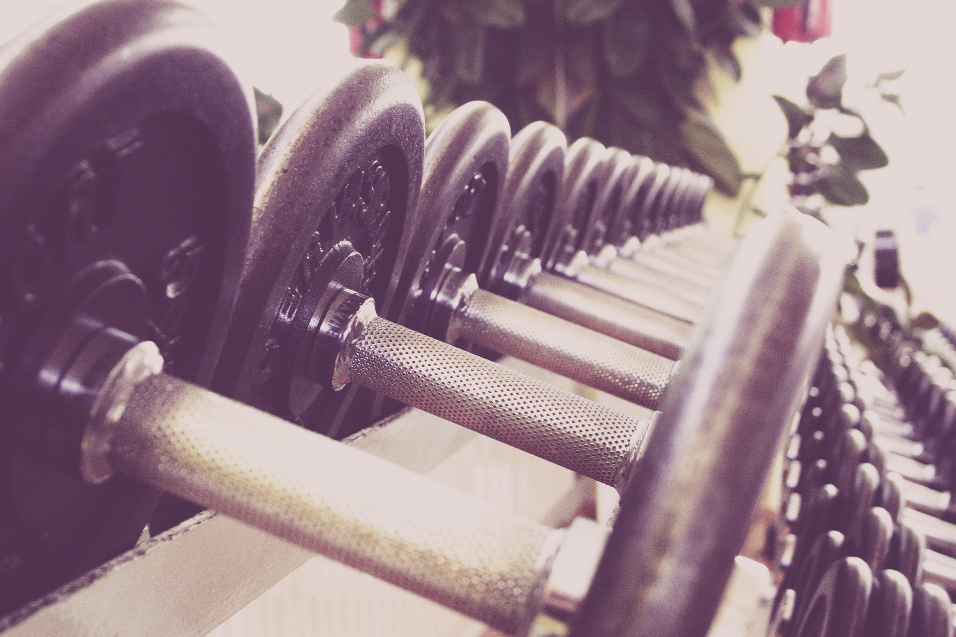 markusspiske fitness 594143 1920